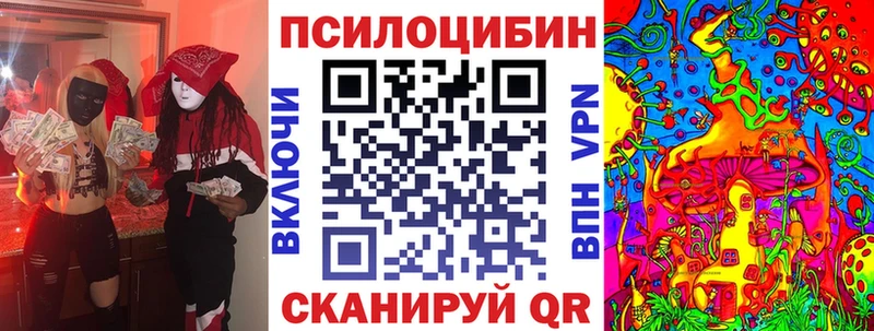 Псилоцибиновые грибы Cubensis  Тайшет 