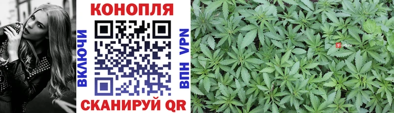 наркота  Тайшет  blacksprut рабочий сайт  Каннабис семена 